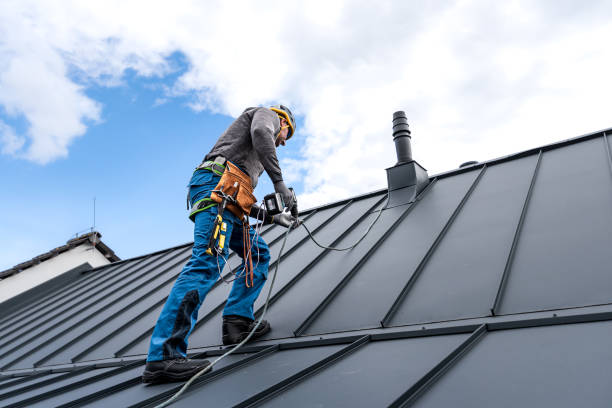 Best Gutter Installation and Repair  in Roosevelt, NJ