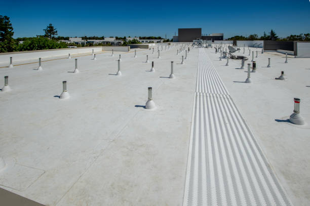 Best Storm Damage Roof Repair  in Roosevelt, NJ